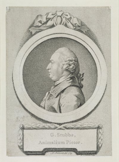 Portrait study of George Stubbs by Pierre Etienne Falconet